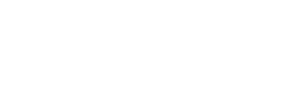 Logo de Prime Energy blanco